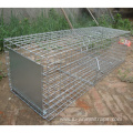 Live animal catcher rat traps Rodent